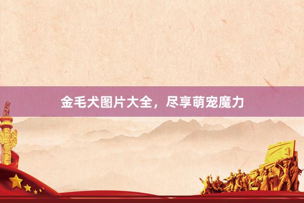 金毛犬图片大全，尽享萌宠魔力